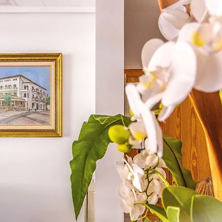 Playas De Hotel Peguera