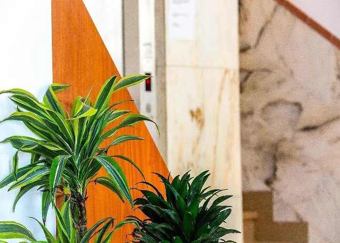 Playas De מלון פגוארה