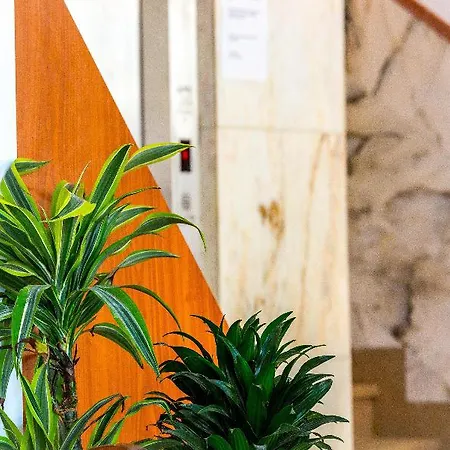 奥里韦拉普帕格拉酒店 酒店 帕格拉