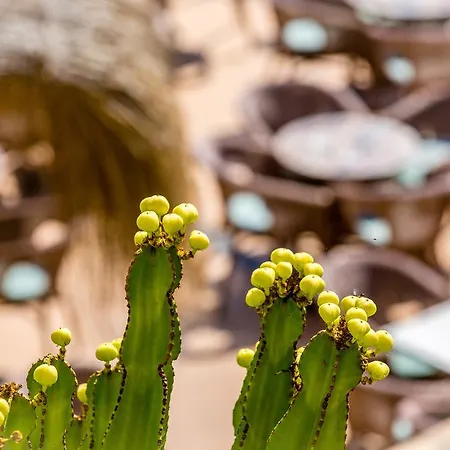 Отель Playas De