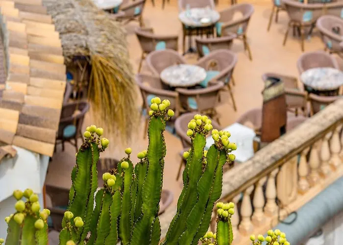 酒店 奥里韦拉普帕格拉酒店 帕格拉