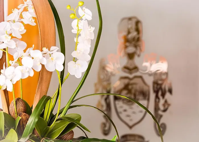 酒店 奥里韦拉普帕格拉酒店 3*